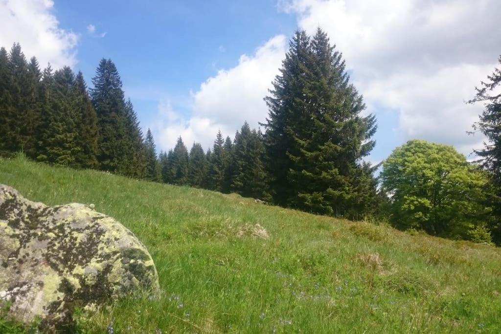 Ferienwohnung Schog Todtnau Zewnętrze zdjęcie