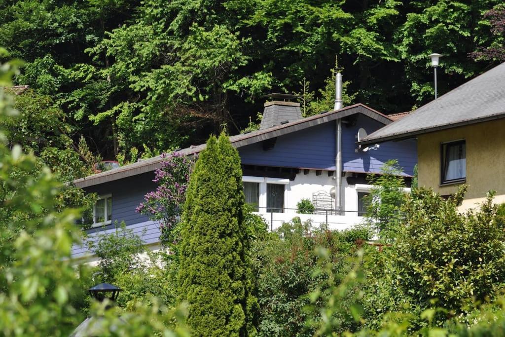 Ferienwohnung Schog Todtnau Zewnętrze zdjęcie